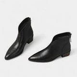 https://cdn.shopify.com/s/files/1/1035/2584/3293/files/imgi_3_4_bb67ac5d-11d0-418e-b030-83e7ed98e88c.jpg?v=1769610598